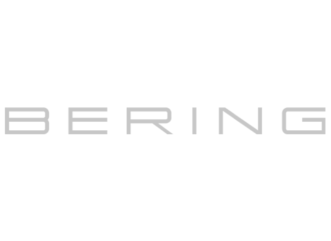 Bering Logo